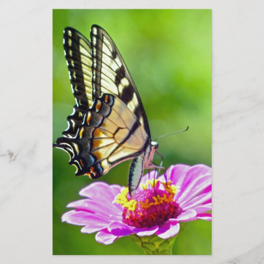 Tiger Frack Butterfly Briefpapier (Vorderseite)