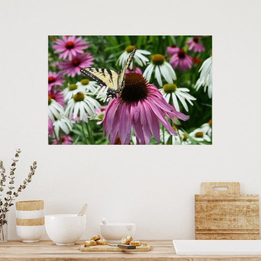 Tiger Frack Butterfly Coneflower Poster (Küche)