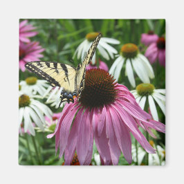 Tiger Frack Butterfly Conflower Magnet