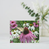 Tiger Frack Butterfly Conflower Postcard Postkarte (Stehend Vorderseite)