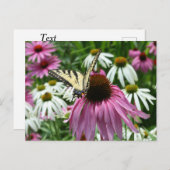 Tiger Frack Butterfly Conflower Postcard Postkarte (Vorne/Hinten)