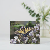 Tiger Frack Butterfly Danke, Postcard Postkarte (Stehend Vorderseite)