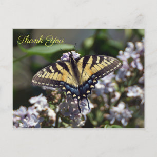 Tiger Frack Butterfly Danke, Postcard Postkarte