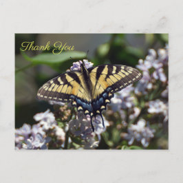 Tiger Frack Butterfly Danke, Postcard Postkarte