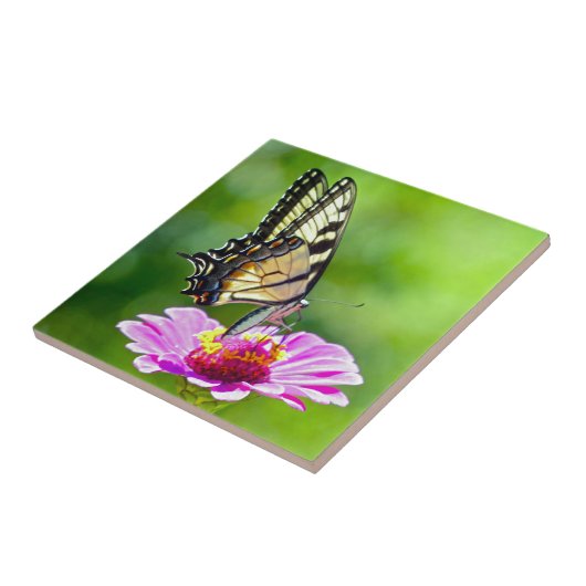 Tiger Frack Butterfly Fliese (Seite)