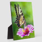 Tiger Frack Butterfly Fotoplatte (Seite)