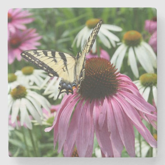 Tiger Frack Butterfly Fower Stone Untersetzer (Vorderseite)