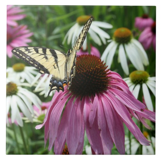 Tiger Frack Butterfly Keramik Tile Fliese (Vorderseite)