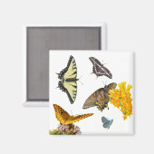 Tiger Frack Butterfly Magnet (Vorderseite/Rückseite)