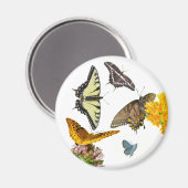 Tiger Frack Butterfly Magnet (Vorderseite/Rückseite)