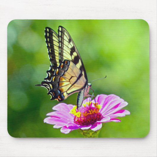 Tiger Frack Butterfly Mousepad (Vorne)