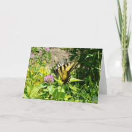 Tiger Frack Butterfly - On Closed Feiertagskarte