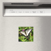 Tiger Frack Butterfly. Papilio glacus. Magnet (In Situ (Geschirrspüler))