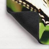 Tiger Frack Butterfly. Papilio glacus. Mousepad (Ecke)