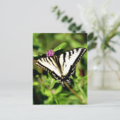 Tiger Frack Butterfly. Papilio glacus. Postkarte (Stehend Vorderseite)