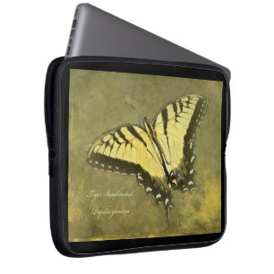 Tiger Frack Butterfly - Papilio glaucus Laptopschutzhülle