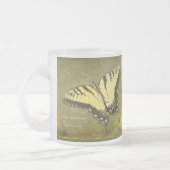 Tiger Frack Butterfly - Papilio glaucus Mattglastasse (Links)