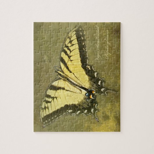 Tiger Frack Butterfly - Papilio glaucus Puzzle (Vertikal)