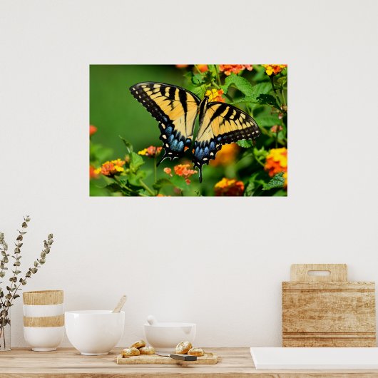 Tiger Frack Butterfly Poster (Küche)