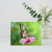 Tiger Frack Butterfly Postkarte (Stehend Vorderseite)