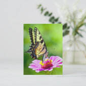 Tiger Frack Butterfly Postkarte (Stehend Vorderseite)