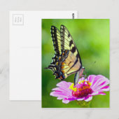 Tiger Frack Butterfly Postkarte (Vorne/Hinten)