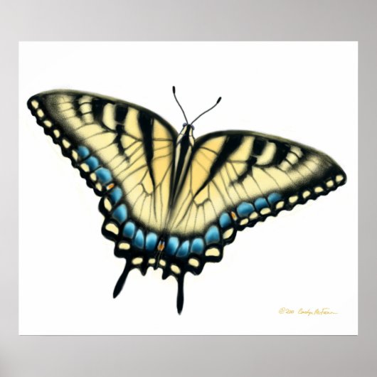 Tiger Frack Butterfly Print Poster (Vorne)
