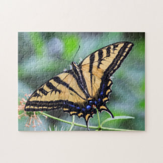 Tiger Frack Butterfly Puzzle