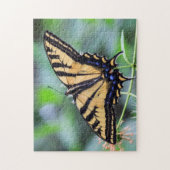 Tiger Frack Butterfly Puzzle (Vertikal)