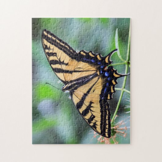 Tiger Frack Butterfly Puzzle (Vertikal)