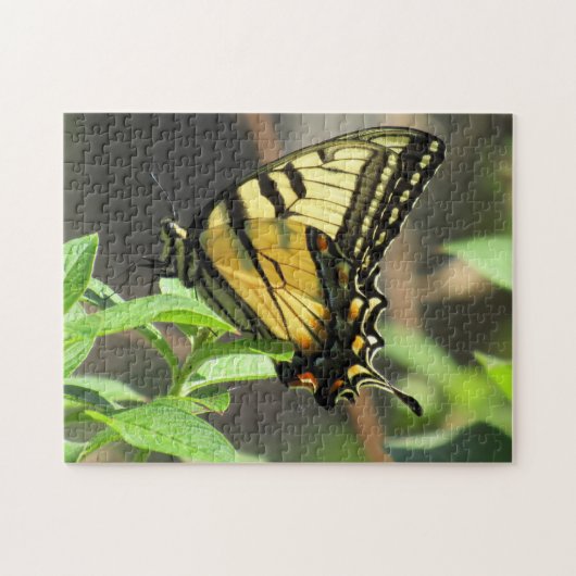 Tiger Frack Butterfly Puzzle (Horizontal)