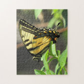 Tiger Frack Butterfly Puzzle (Vertikal)