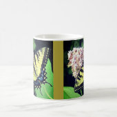 Tiger Frack Butterfly Tasse (Mittel)