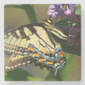 Tiger Frack Butterfly Untersetzer (Vorderseite)