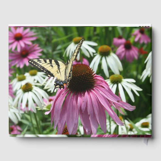 Tiger Frack Buttrerfly Coneflower Gästebuch (Rückseite)