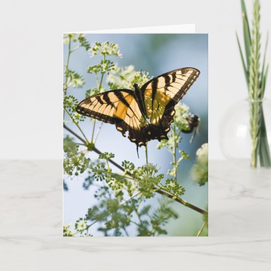 Tiger Frack Muttertagskarte Karte (Vorderseite)