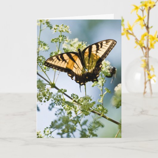 Tiger Frack Muttertagskarte Karte (Gelbe Blume)