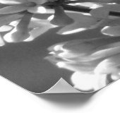 Tiger-Frack Poster (Ecke)