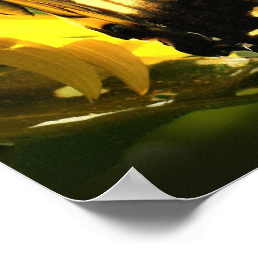 Tiger-Frack Poster (Ecke)