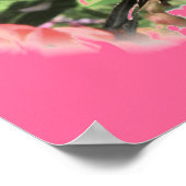 Tiger Frack Poster (Ecke)