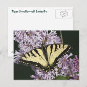 Tiger-Frack Postkarte (Vorne/Hinten)