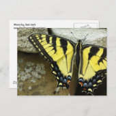 Tiger-Frack-Postkarte Postkarte (Vorne/Hinten)