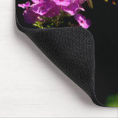 Tiger Frack Schmetterling auf Phlox im Sommer Mousepad (Ecke)