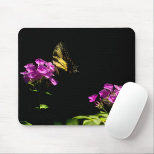 Tiger Frack Schmetterling auf Phlox im Sommer Mousepad