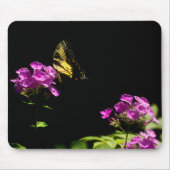 Tiger Frack Schmetterling auf Phlox im Sommer Mousepad (Vorne)