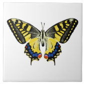 Tiger-Frack-Schmetterling Fliese (Vorderseite)