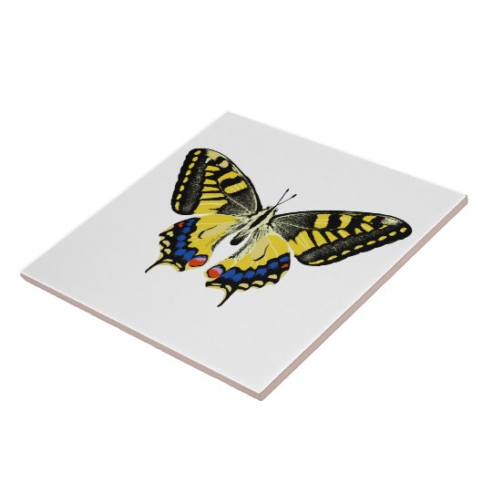 Tiger-Frack-Schmetterling Fliese (Seite)