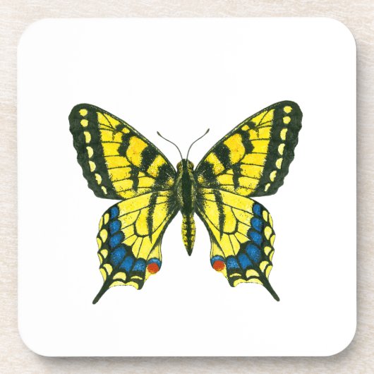 Tiger-Frack-Schmetterling Getränkeuntersetzer (Vorderseite)