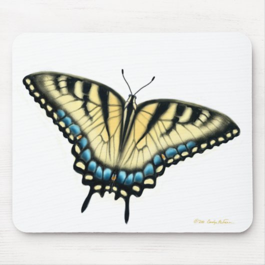 Tiger-Frack-Schmetterling Mousepad (Vorne)