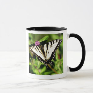 Tiger-Frack-Schmetterling. Papilio glacus. Tasse
